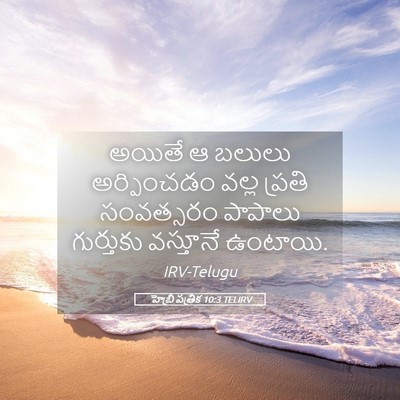 Picture 05 - హెబ్రీ పత్రిక 10:3 TELIRV - అయితే ఆ బలులు - Bible Verse Picture