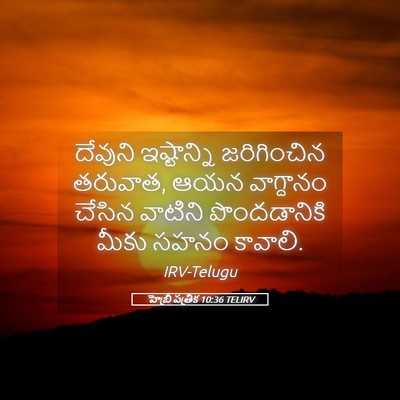 Picture 05 - హెబ్రీ పత్రిక 10:36 TELIRV - దేవుని ఇష్టాన్ని - Bible Verse Picture