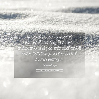 Picture 05 - హెబ్రీ పత్రిక 10:39 TELIRV - అయితే మనం - Bible Verse Picture
