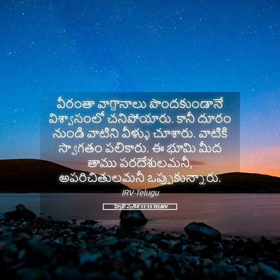 Picture 05 - హెబ్రీ పత్రిక 11:13 TELIRV - వీరంతా వాగ్దానాలు - Bible Verse Picture