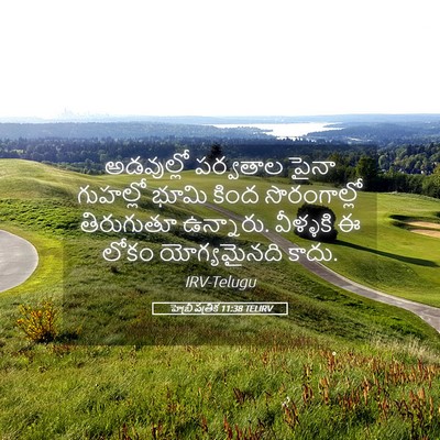 Picture 05 - హెబ్రీ పత్రిక 11:38 TELIRV - అడవుల్లో పర్వతాల - Bible Verse Picture
