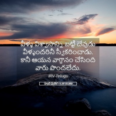 Picture 05 - హెబ్రీ పత్రిక 11:39 TELIRV - వీళ్ళ - Bible Verse Picture