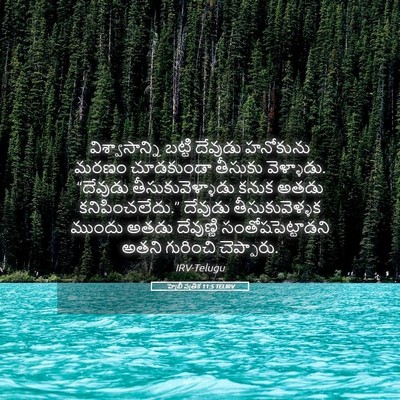 Picture 05 - హెబ్రీ పత్రిక 11:5 TELIRV - విశ్వాసాన్ని - Bible Verse Picture
