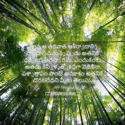 Picture 05 - హెబ్రీ పత్రిక 12:17 TELIRV - ఏశావు ఆ తరవాత - Bible Verse Picture