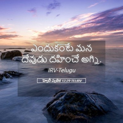 Picture 05 - హెబ్రీ పత్రిక 12:29 TELIRV - ఎందుకంటే మన - Bible Verse Picture