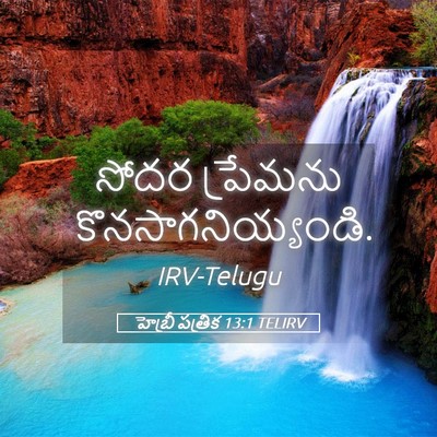 Picture 05 - హెబ్రీ పత్రిక 13:1 TELIRV - సోదర ప్రేమను - Bible Verse Picture