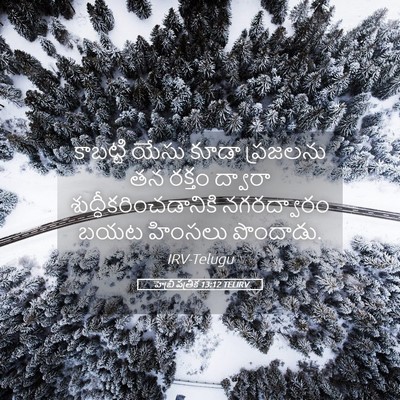 Picture 05 - హెబ్రీ పత్రిక 13:12 TELIRV - కాబట్టి యేసు కూడా - Bible Verse Picture