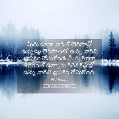 Picture 05 - హెబ్రీ పత్రిక 13:3 TELIRV - మీరు కూడా వారితో - Bible Verse Picture