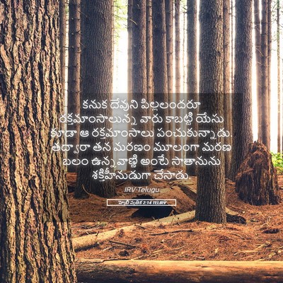 Picture 05 - హెబ్రీ పత్రిక 2:14 TELIRV - కనుక దేవుని - Bible Verse Picture