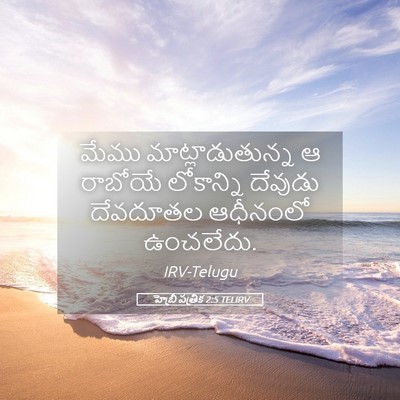 Picture 05 - హెబ్రీ పత్రిక 2:5 TELIRV - మేము - Bible Verse Picture