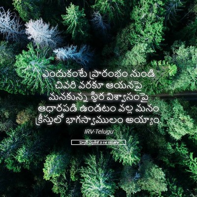 Picture 05 - హెబ్రీ పత్రిక 3:14 TELIRV - ఎందుకంటే ప్రారంభం - Bible Verse Picture