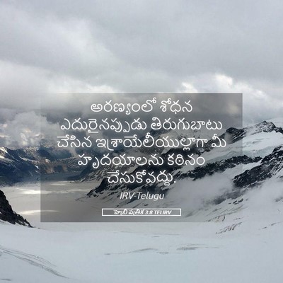 Picture 05 - హెబ్రీ పత్రిక 3:8 TELIRV - అరణ్యంలో శోధన - Bible Verse Picture