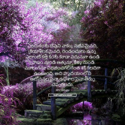 Picture 05 - హెబ్రీ పత్రిక 4:12 TELIRV - ఎందుకంటే దేవుని - Bible Verse Picture