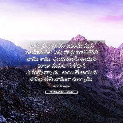 Picture 05 - హెబ్రీ పత్రిక 4:15 TELIRV - మన ప్రధాన యాజకుడు - Bible Verse Picture