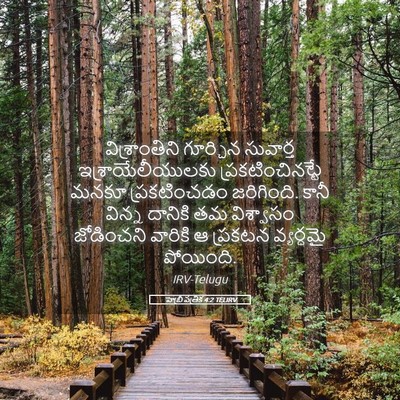 Picture 05 - హెబ్రీ పత్రిక 4:2 TELIRV - విశ్రాంతిని - Bible Verse Picture