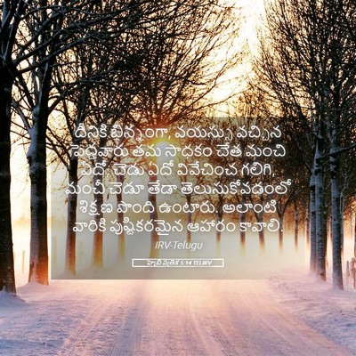 Picture 05 - హెబ్రీ పత్రిక 5:14 TELIRV - దీనికి భిన్నంగా, - Bible Verse Picture