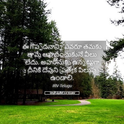 Picture 05 - హెబ్రీ పత్రిక 5:4 TELIRV - ఈ గొప్పదనాన్ని - Bible Verse Picture
