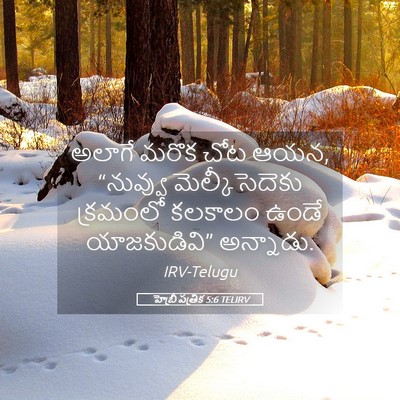 Picture 05 - హెబ్రీ పత్రిక 5:6 TELIRV - అలాగే మరొక చోట ఆయన, - Bible Verse Picture