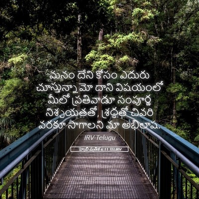 Picture 05 - హెబ్రీ పత్రిక 6:11 TELIRV - మనం దేని కోసం - Bible Verse Picture