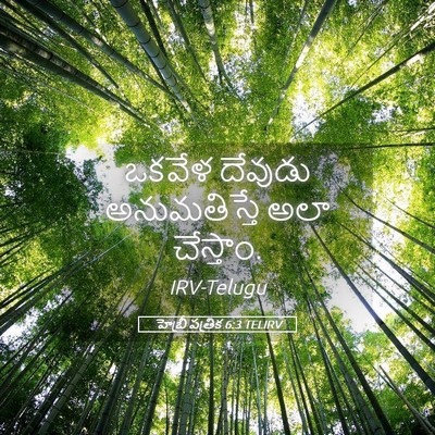 Picture 05 - హెబ్రీ పత్రిక 6:3 TELIRV - ఒకవేళ దేవుడు - Bible Verse Picture