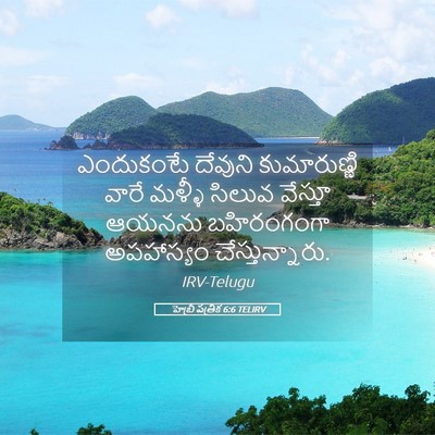 Picture 05 - హెబ్రీ పత్రిక 6:6 TELIRV - ఎందుకంటే దేవుని - Bible Verse Picture