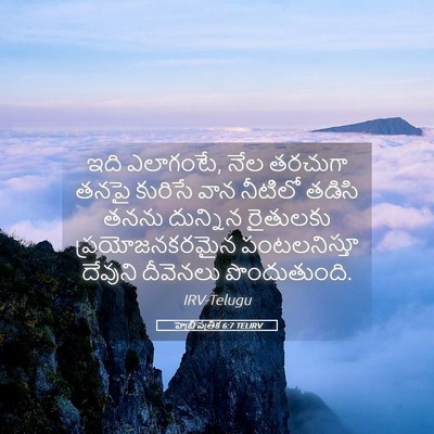 Picture 05 - హెబ్రీ పత్రిక 6:7 TELIRV - ఇది ఎలాగంటే, నేల - Bible Verse Picture