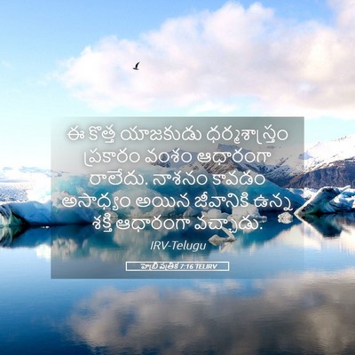 Picture 05 - హెబ్రీ పత్రిక 7:16 TELIRV - ఈ కొత్త యాజకుడు - Bible Verse Picture