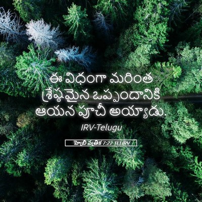 Picture 05 - హెబ్రీ పత్రిక 7:22 TELIRV - ఈ విధంగా మరింత - Bible Verse Picture