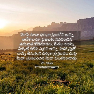 Picture 05 - హెబ్రీ పత్రిక 9:19 TELIRV - మోషే కూడా - Bible Verse Picture