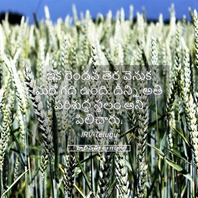 Picture 05 - హెబ్రీ పత్రిక 9:3 TELIRV - ఇక రెండవ తెర వెనుక - Bible Verse Picture