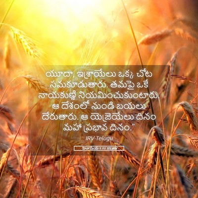 Picture 05 - హోషేయ 1:11 TELIRV - యూదా, ఇశ్రాయేలు - Bible Verse Picture