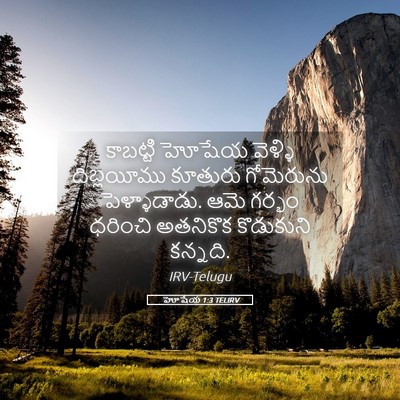 Picture 05 - హోషేయ 1:3 TELIRV - కాబట్టి హోషేయ - Bible Verse Picture