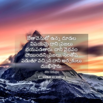 Picture 05 - హోషేయ 10:5 TELIRV - బేతావెనులో ఉన్న - Bible Verse Picture