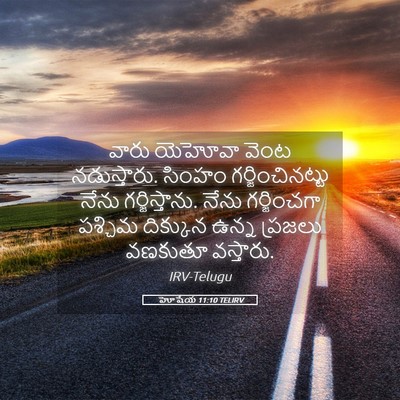 Picture 05 - హోషేయ 11:10 TELIRV - వారు యెహోవా వెంట - Bible Verse Picture