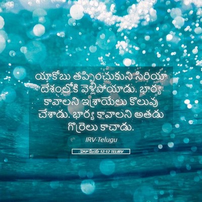 Picture 05 - హోషేయ 12:12 TELIRV - యాకోబు - Bible Verse Picture