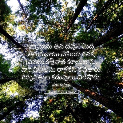 Picture 05 - హోషేయ 13:16 TELIRV - షోమ్రోను తన - Bible Verse Picture
