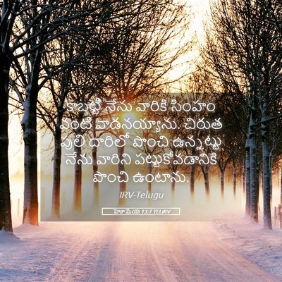 Picture 05 - హోషేయ 13:7 TELIRV - కాబట్టి నేను - Bible Verse Picture