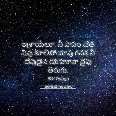 Picture 05 - హోషేయ 14:1 TELIRV - ఇశ్రాయేలూ, నీ పాపం - Bible Verse Picture