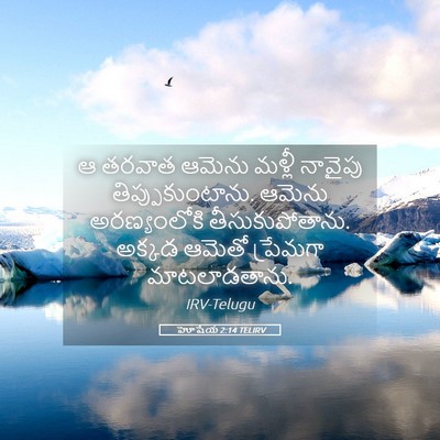 Picture 05 - హోషేయ 2:14 TELIRV - ఆ తరవాత ఆమెను - Bible Verse Picture