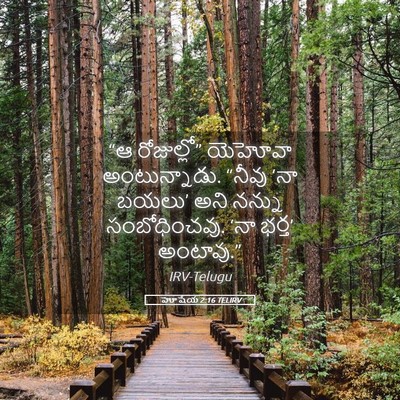 Picture 05 - హోషేయ 2:16 TELIRV - “ఆ రోజుల్లో” - Bible Verse Picture