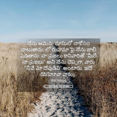 Picture 05 - హోషేయ 2:23 TELIRV - నేను ఆమెను భూమిలో - Bible Verse Picture