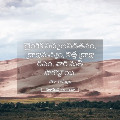 Picture 05 - హోషేయ 4:11 TELIRV - లైంగిక - Bible Verse Picture