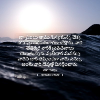 Picture 05 - హోషేయ 4:12 TELIRV - నా ప్రజలు తాము - Bible Verse Picture