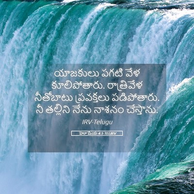 Picture 05 - హోషేయ 4:5 TELIRV - యాజకులు పగటి వేళ - Bible Verse Picture