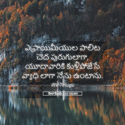 Picture 05 - హోషేయ 5:12 TELIRV - ఎఫ్రాయిమీయుల - Bible Verse Picture