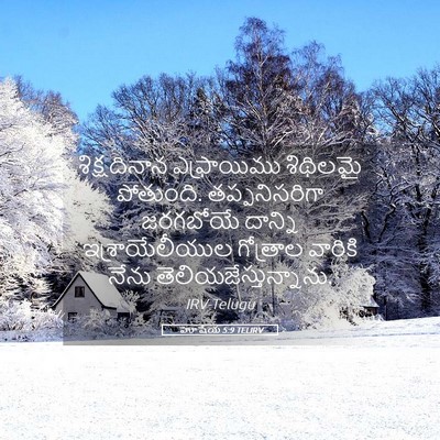 Picture 05 - హోషేయ 5:9 TELIRV - శిక్షదినాన - Bible Verse Picture