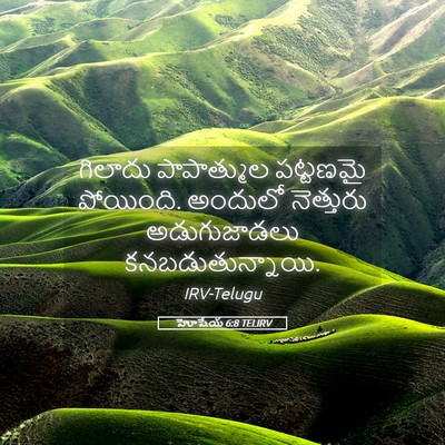 Picture 05 - హోషేయ 6:8 TELIRV - గిలాదు పాపాత్ముల - Bible Verse Picture