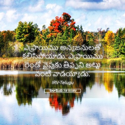 Picture 05 - హోషేయ 7:8 TELIRV - ఎఫ్రాయిము - Bible Verse Picture