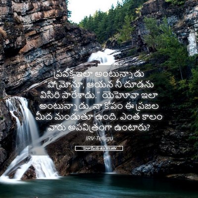 Picture 05 - హోషేయ 8:5 TELIRV - ప్రవక్త ఇలా - Bible Verse Picture