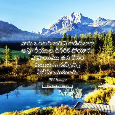Picture 05 - హోషేయ 8:9 TELIRV - వారు ఒంటరి అడవి - Bible Verse Picture